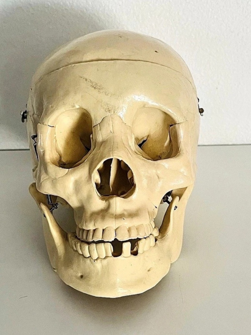 Halloween Gothic Decor Human Scull Model Statue - Movable Hinged Jaws & Scullcap